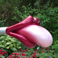 Pink Tongue