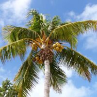 Overseas Highway in Islamorada, Florida