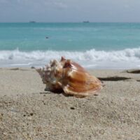 Strand von Miami Beach, Florida