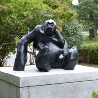 “Gorilla” von Daisy Youngblood