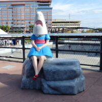 Shark Girl Canalside Buffalo, New York<br>
Das Maskottchen der Stadt Shark Girl Canalside Buffalo, New York