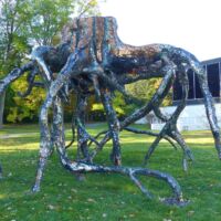 Albright-Knox Art Gallery Buffalo, New York<br>
“Underlife” von Jason Middlebrook Albright-Knox Art Gallery Buffalo, New York
