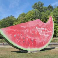 World's Largest Watermelon in Muscatine, Iowa