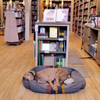 Garden District Book Shop in New Orleans, Louisiana