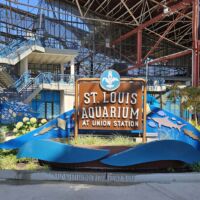 Aquarium in der Union Station St. Louis, Missouri<br>
Bei seiner Eröffnung 1894 einer der größten Bahnhöfe der Welt Aquarium in der Union Station St. Louis, Missouri