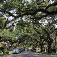 Garden District New Orleans, Louisiana<br>
Die prächtigen Live Oak Alleys sind besonders fotogen Garden District New Orleans, Louisiana