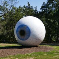 "Eye" von Tony Tasset