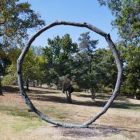 "Wisdom of the Limb" von Gary Passanise