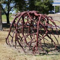 "Walking Roots" von Steve Tobin