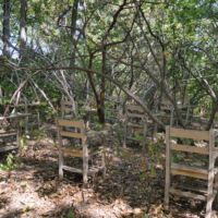 "Brier Patch" von Hugh Hayden