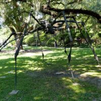 "Spider" von Louise Bourgeois