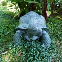 "Tortoise" von Paul Manship