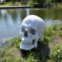 "Schädel" (Skull) von Katharina Fritsch