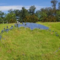 "Certain Slant of Light" von Sarah Sze