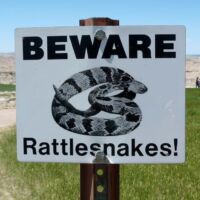 Achtung, Klapperschlangen! im Badlands Nationalpark