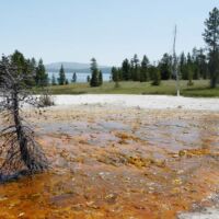 West Thumb Geyser Basin im Yellowstone National Park, Wyoming