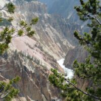 Grand Canyon Falls im Yellowstone National Park, Wyoming