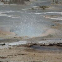 Norris Geyser Basin im Yellowstone National Park, Wyoming