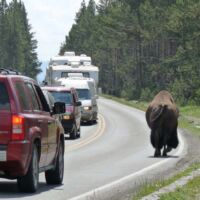 Yellowstone National Park, Wyoming