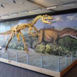 Dinosaur National Monument in Utah