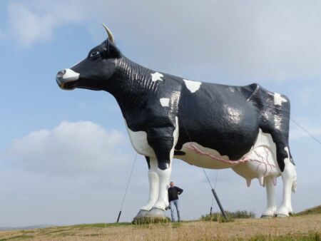 "Salem Sue" in New Salem, North Dakota<br> Die weltgrößte Holstein-Kuh "Salem Sue" in New Salem, North Dakota