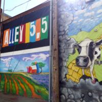 Wandmalerei in der Art Alley 5.5 in Bismarck, North Dakota