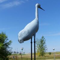 World's largest Sandhill Crane in Steele, North Dakota