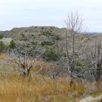 Theodore Roosevelt National Park, North Dakota