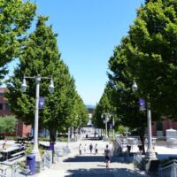 University of Washington Tacoma