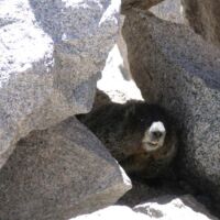 Mount Evans, Colorado