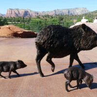 Visitor Center in Sedona, Arizona