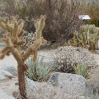 Anza-Borrego Desert State Park, Kalifornien