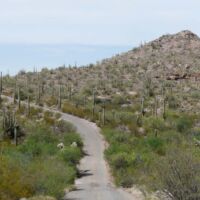 Organ Pipe Cactus National Monument, Arizona