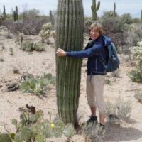 Saguaro National Park, Arizona