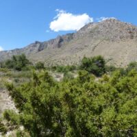 Guadalupe Mountains National Park in Texas Guadalupe Mountains National Park in Texas