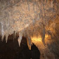 Carlsbad Caverns National Park in New Mexico Carlsbad Caverns National Park in New Mexico