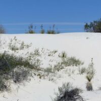 White Sands National Park in New Mexico White Sands National Park in New Mexico