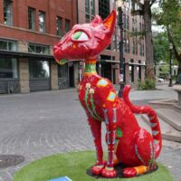 Stadt der Katzen - Portland, Oregon
