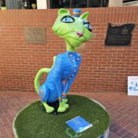 Stadt der Katzen - Portland, Oregon