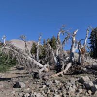 Lassen Volcanic National Park, California<br>
Derzeit ruht der Vulkan, er ist aber nicht erloschen Lassen Volcanic National Park, California