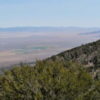 Great Basin National Park, Nevada<br>
In der Ferne sieht man die endlose Weite des "Großen Beckens" Great Basin National Park, Nevada