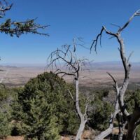 Great Basin National Park, Nevada<br>
Great Basin, soweit das Auge reicht Great Basin National Park, Nevada