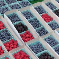 Farmer's Market in Monterey, Kalifornien