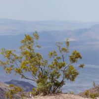 Dante's View im Death Valley National Park, Kalifornien