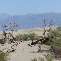 Mesquite Sand Dunes im Death Valley National Park, Kalifornien