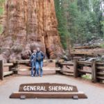 "General Sherman Tree" im Sequoia National Park, Kalifornien