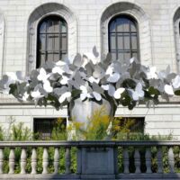 Central Library St. Louis, Missouri<br>
"Mariposas" von Manola Valdes Mariposas (St. Louis, Missouri)
