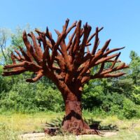Frederik Meijer Gardens and Sculpture Park Grand Rapids, Michigan<br>
"Iron Tree" von Ai Weiwei Iron Tree (Grand Rapids, Michigan)
