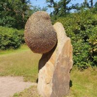 "Rockswarm" von Bill Woodrow